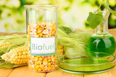 Burton Leonard biofuel availability
