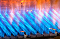 Burton Leonard gas fired boilers